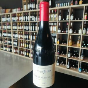 COTE DE NUIT VILLAGES ROUGE 2022 75 CL DOMAINE JULIEN