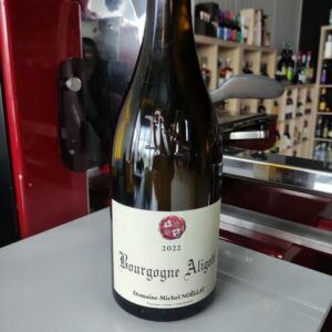 BOURGOGNE ALIGOTE BLANC 2022 NOELLAT