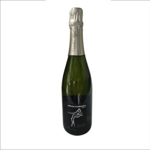 METHODE TRADITIONNELLE BRUT BLANC TOURAINE 75 CL DOMAINE PAGET