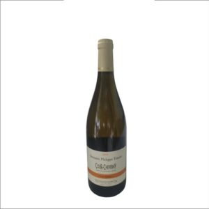 DOMAINE PHILIPPE TESSIER LES SABLES COUR CHEVERNY 2019