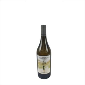 DOMAINE BERTHET BONDET LA POIRIERE COTES DU JURA 2019