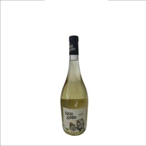 FILOU & LOUSTIC LE DUO ECOLO VIN DE FRANCE 2020 75 CL 12,5°