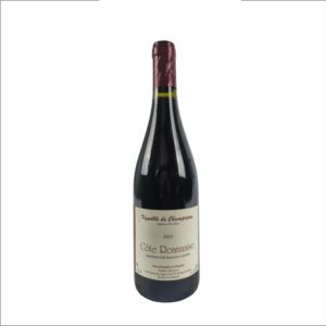 VIGNOBLE DE CHAMPAGNY COTE ROANNAISE 2022 F VILLENEUVE 75 CL 12,5°