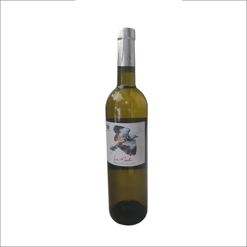 VIN0001848.jpg DOMAINE DES MAELS LES MAELS BLANC PAYS D OC 2021 75 CL 13° – Image 1