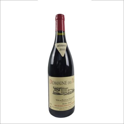 DOMAINE DES TOURS MERLOT VAUCLUSE 2010 REYNAUD 75 CL 14,5°