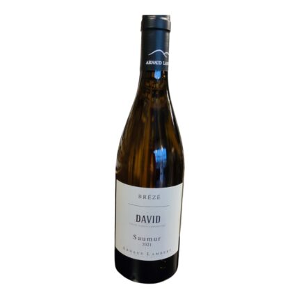 BREZE DAVID SAUMUR BLC 2020 75 CL 13,5°