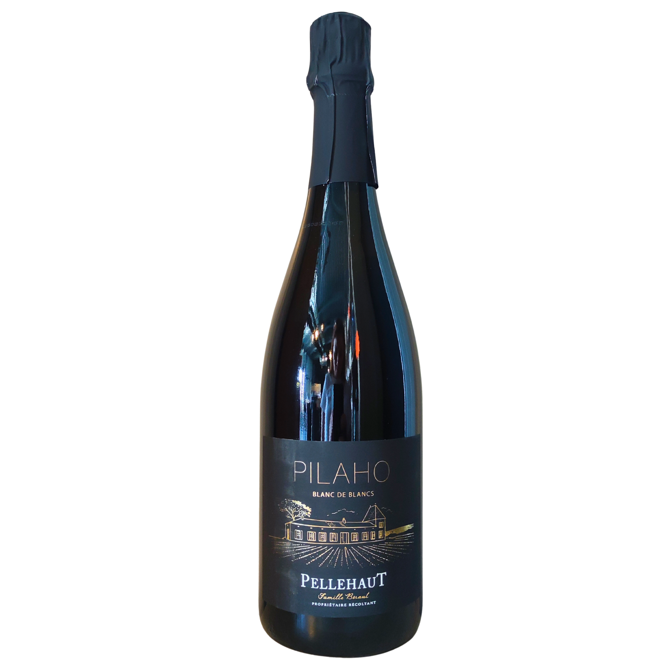 5bddbda6-f3a3-49e4-8d77-a148c1a7ebc2 Pilaho Blanc de Blanc, Domaine de Pellehaut, Gascogne, 2025, 75Cl, 9° – Image 1