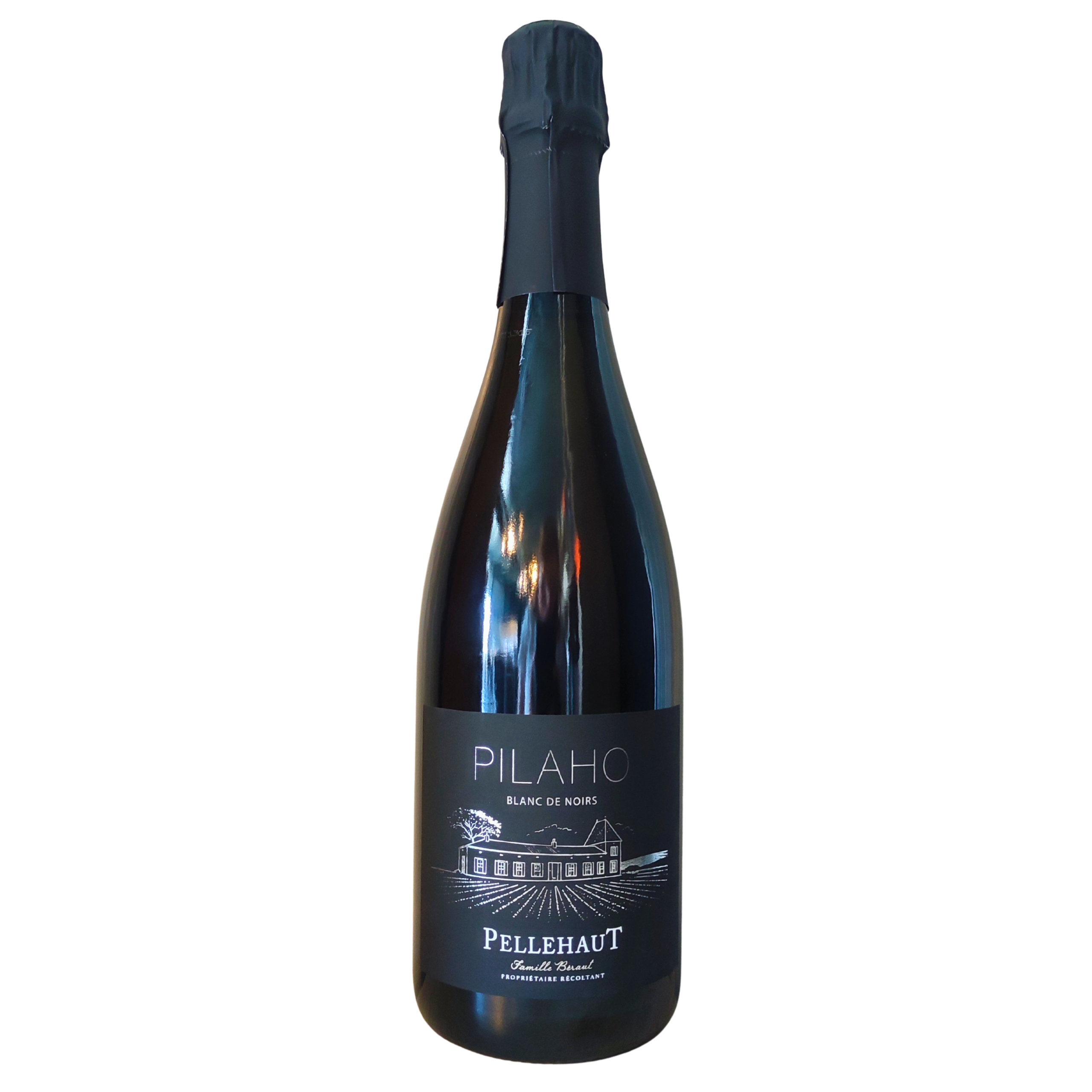 76ea72dc-542e-43b7-be78-ddf8111b8b36 Pilaho Blanc de Noir, Domaine Pellehaut, Gascogne, 2025, 75Cl – Image 1